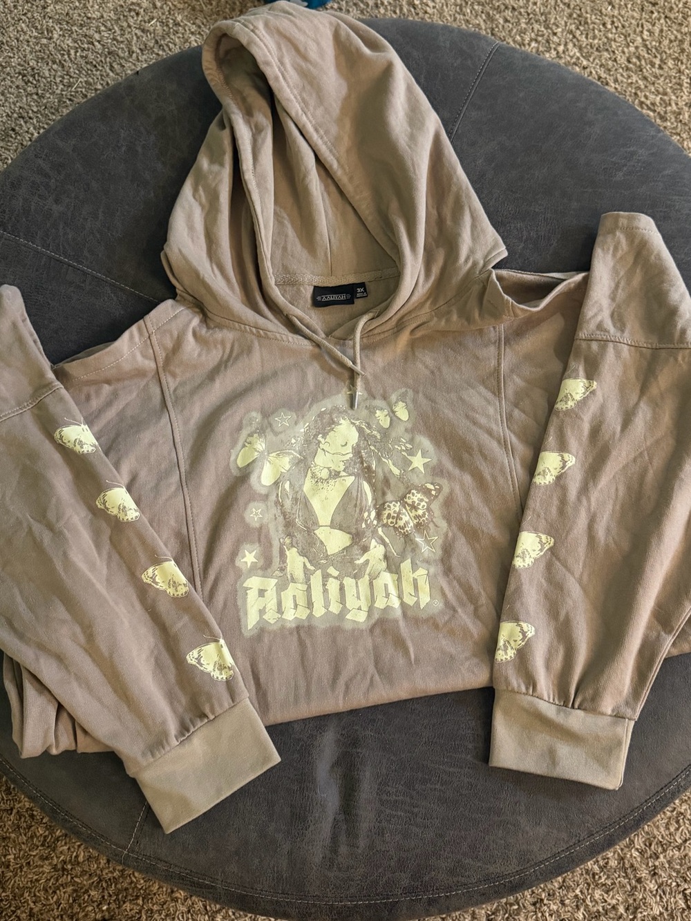 Aaliyah Graphic Hoodie in Taupe with Pale Yellow Print